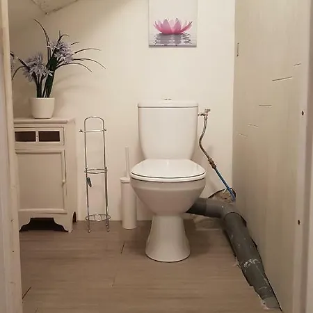 Cocoon 住宿加早餐酒店 罗克莫尔